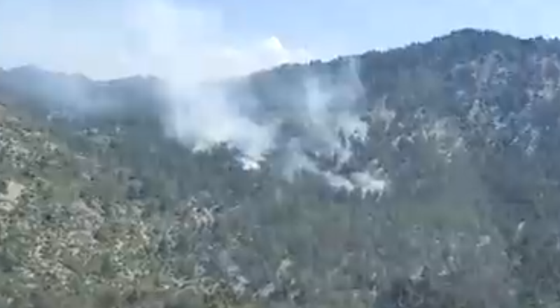 Burdur’da yıldırım kaynaklı orman yangını