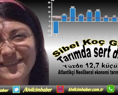 Atlantikçi Neoliberal ekonomi tarımı çökertiyor