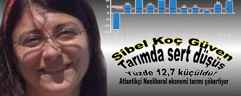 Atlantikçi Neoliberal ekonomi tarımı çökertiyor