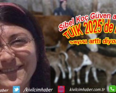 TÜİK 2025’de hayvan sayısı arttı diyor ama…