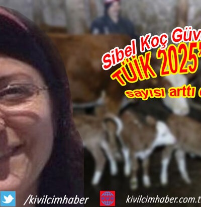 TÜİK 2025’de hayvan sayısı arttı diyor ama…