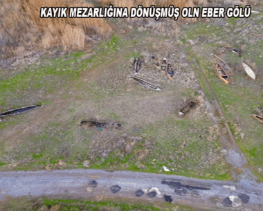 Hükümetler “eylem planları”yla vakit geçiredursun tabiat can çekişiyor