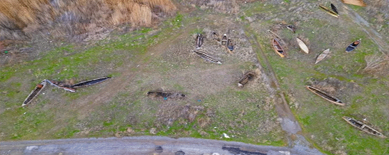 Hükümetler “eylem planları”yla vakit geçiredursun tabiat can çekişiyor