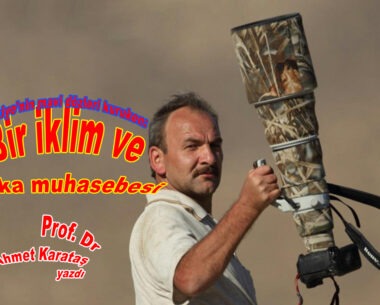 Türkiye’nin mavi gözleri kururken