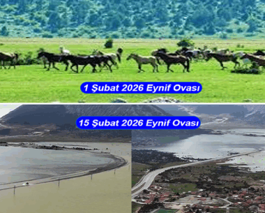 Bilimi rehber edinmeyen Orta Çağ kafası