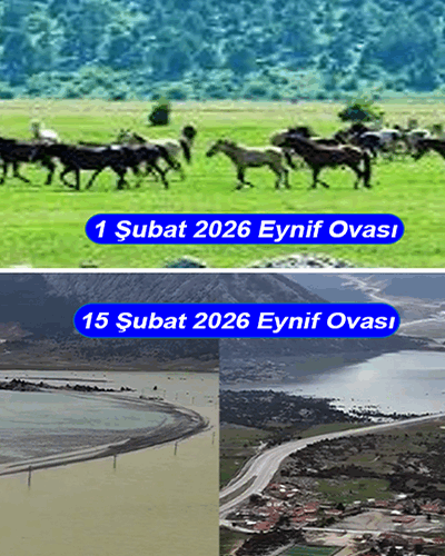 Bilimi rehber edinmeyen Orta Çağ kafası