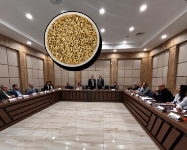 Burdur’da tritikalenin geleceği masaya yatırıldı