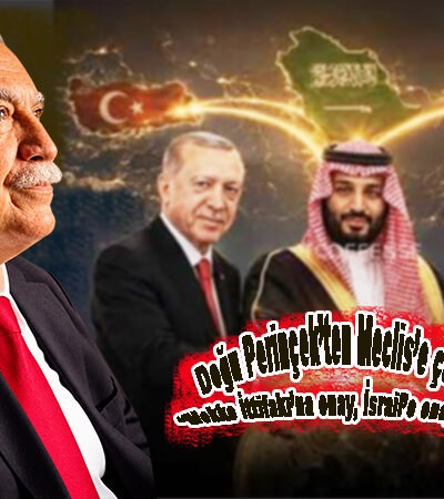 Doğu Perinçek’ten Meclis’e çağrı